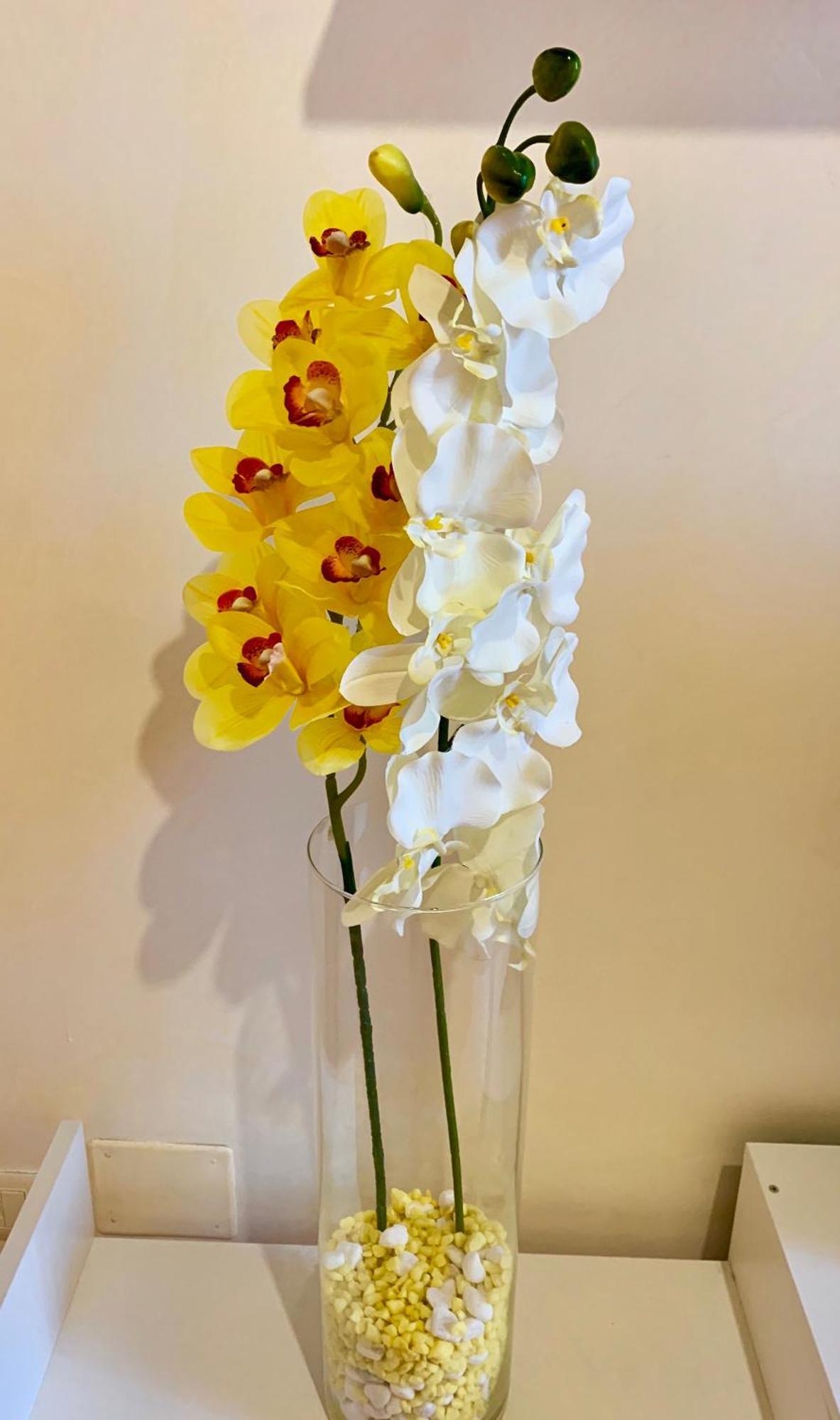 Orchidea Gialla Gaeta Zewnętrze zdjęcie